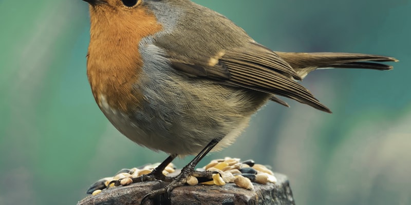 7 Customer Touchpoints Perfect for Handwritten Cards